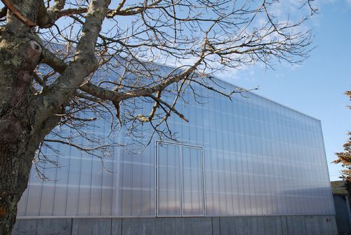 EXTECH translucent wall system in Boston